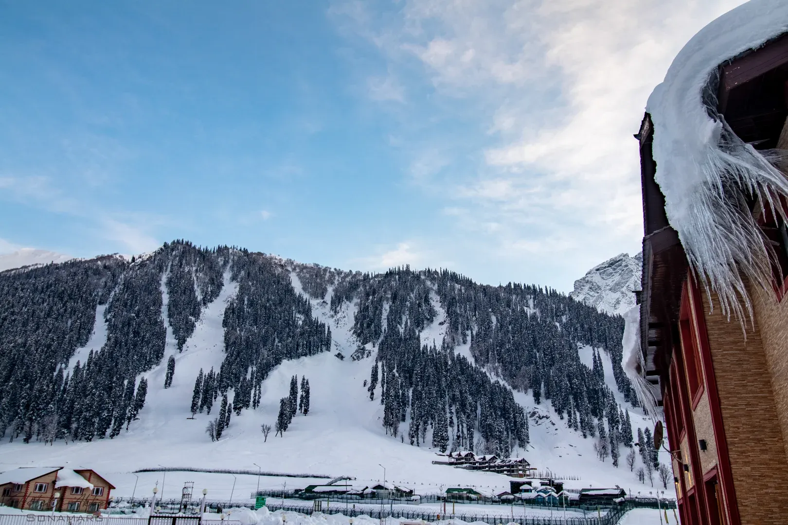 Snow-covered Himalayan peaks with pine forest views.
