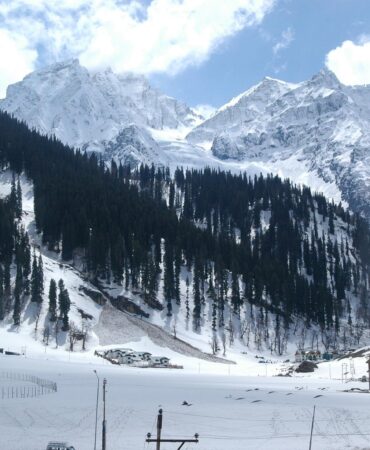 WhatsApp Image 2025-07-24 at 6.13.42 AM