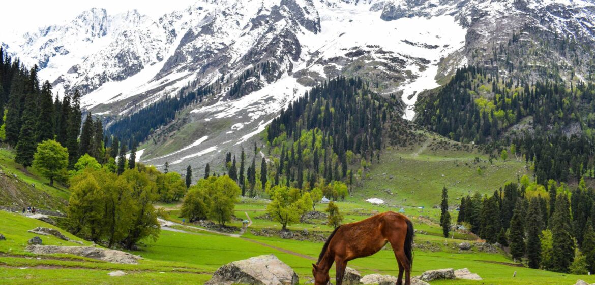 sonmarg