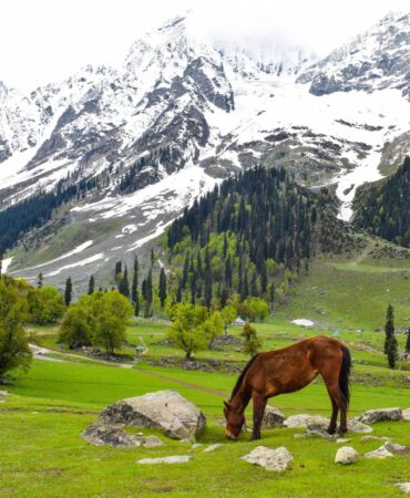 sonmarg