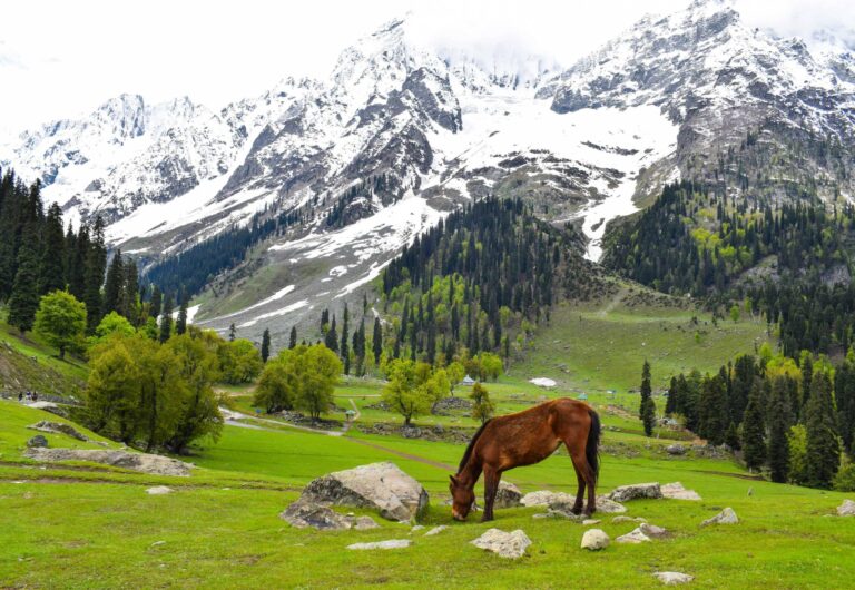 sonmarg
